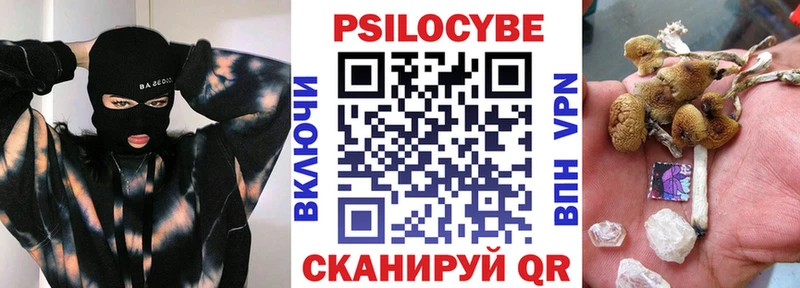 Галлюциногенные грибы прущие грибы  наркошоп  Ершов 